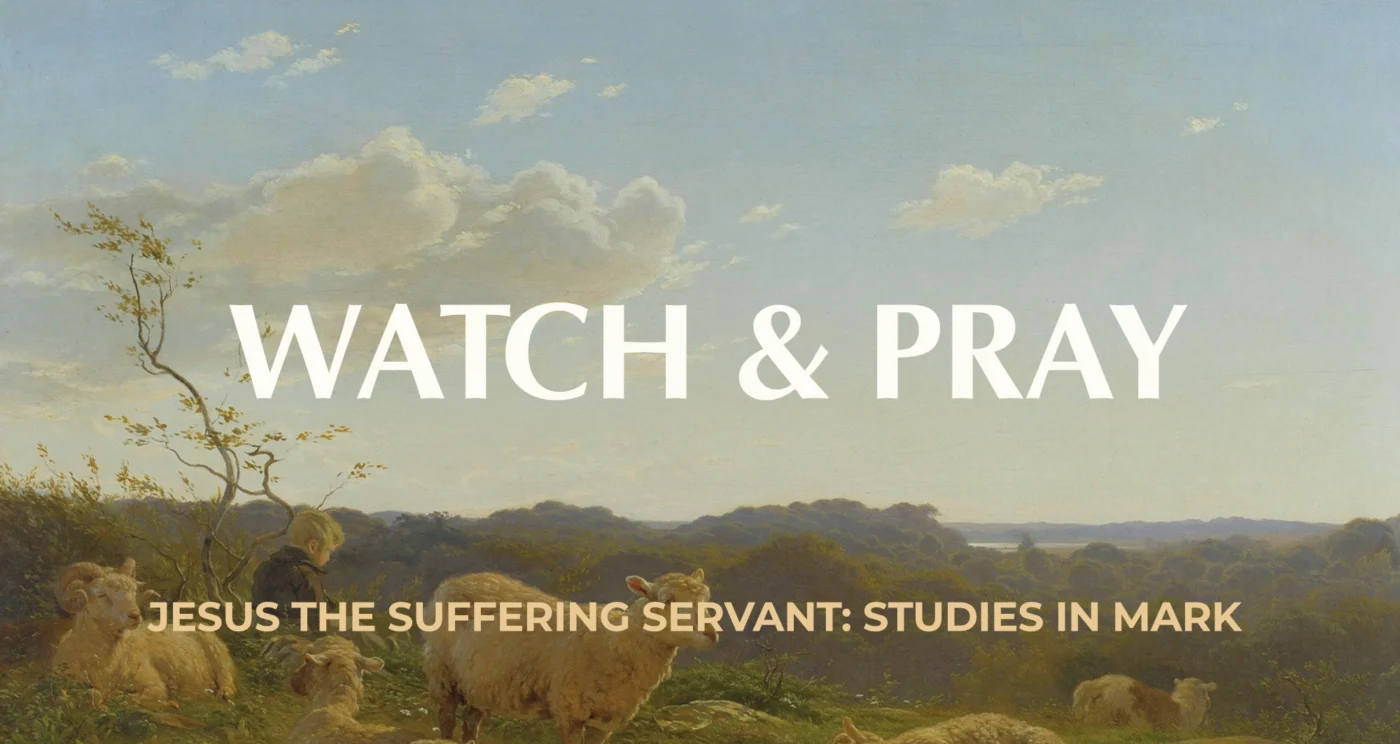 Watch and Pray || Mark 13:28-37