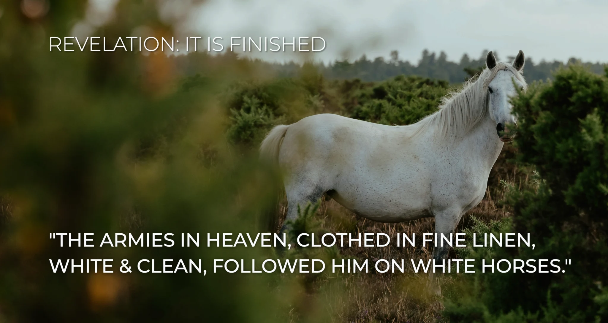 Revelation 19:14 14 And the armies in heaven, clothed in fine linen, white and clean, followed Him on white horses.