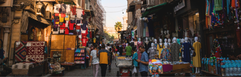 Egyptian Arabic Program