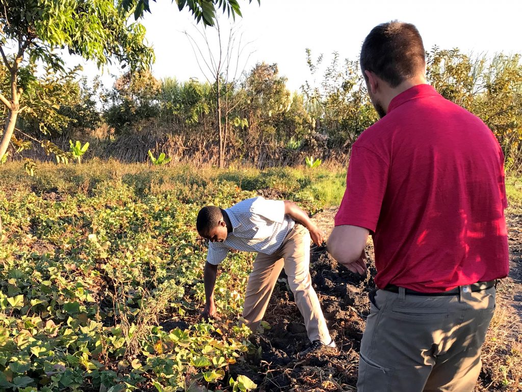 christian blogs malawi and back again gardening