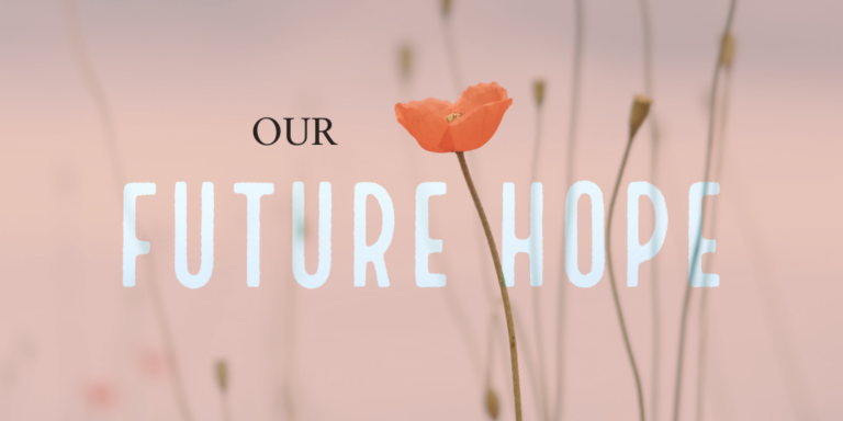 christian blogs our future hope
