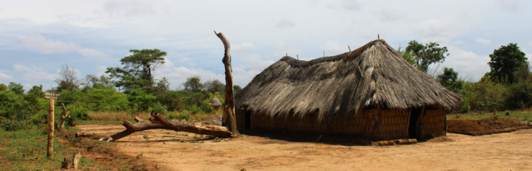 Lozi Program