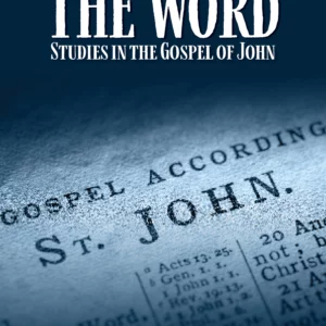 gospel of john book cover 3