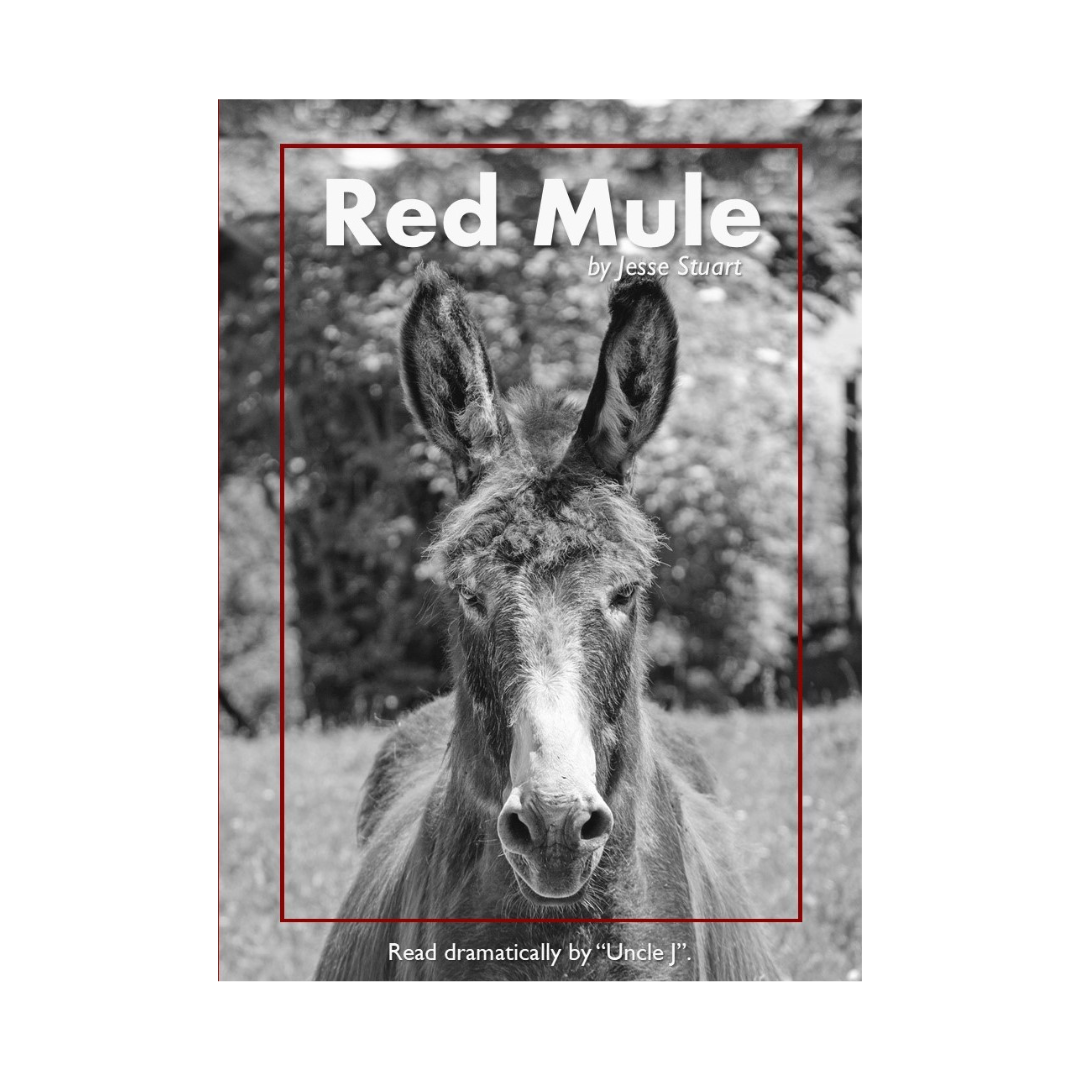 red mule written by jess stuart read by j otis yoder