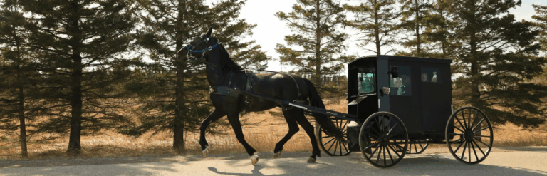 Pennsylvania Dutch Program