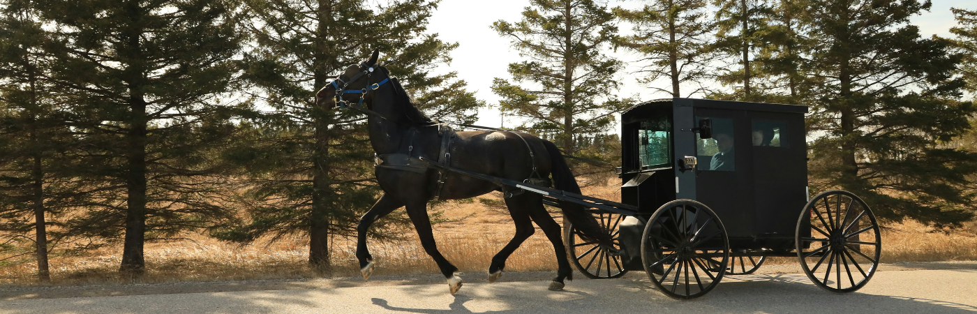 Pennsylvania Dutch Program