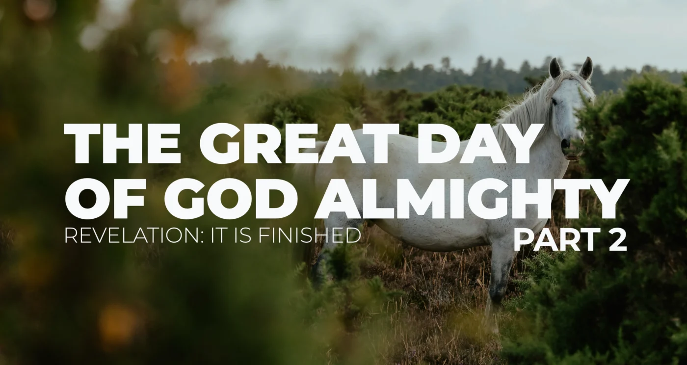 The Great Day of God Almighty, Bible study of Revelation 19:11-21