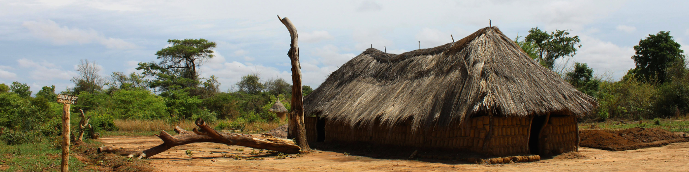Lozi Program