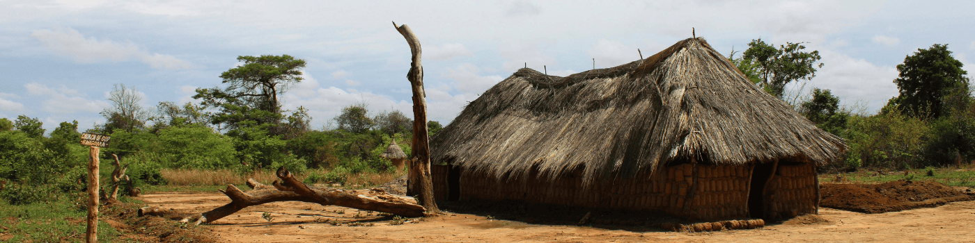 Lozi Program