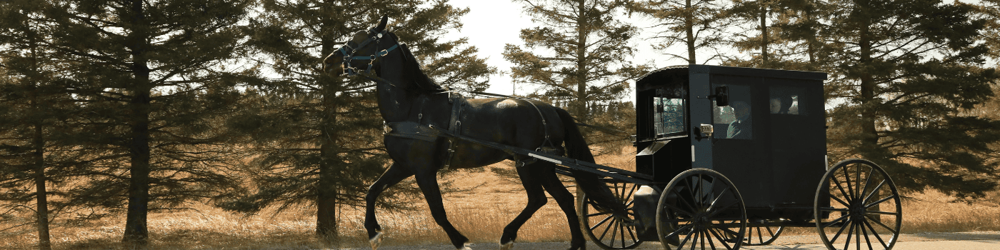 Pennsylvania Dutch Program
